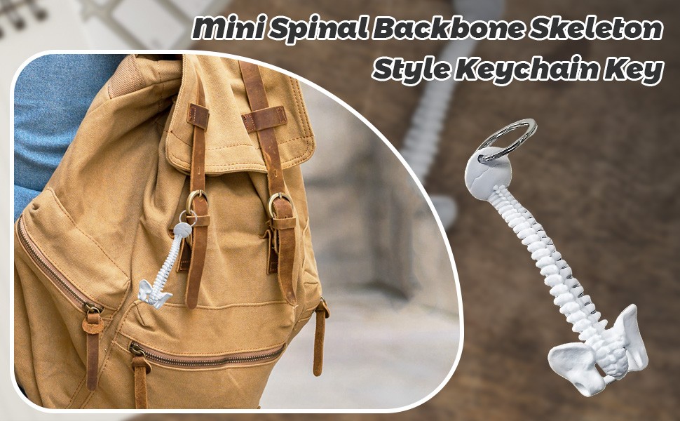 Human Spine Skeleton Keychain, Mini Model 9.5 x 4cm,