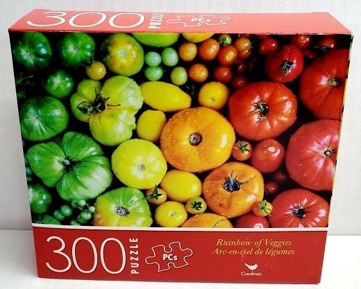 NEW 300 PC PUZZLE SET JIGSAW RAINBOW VEGGIES COLORFUL GUITARS ANTELOPE CANYON