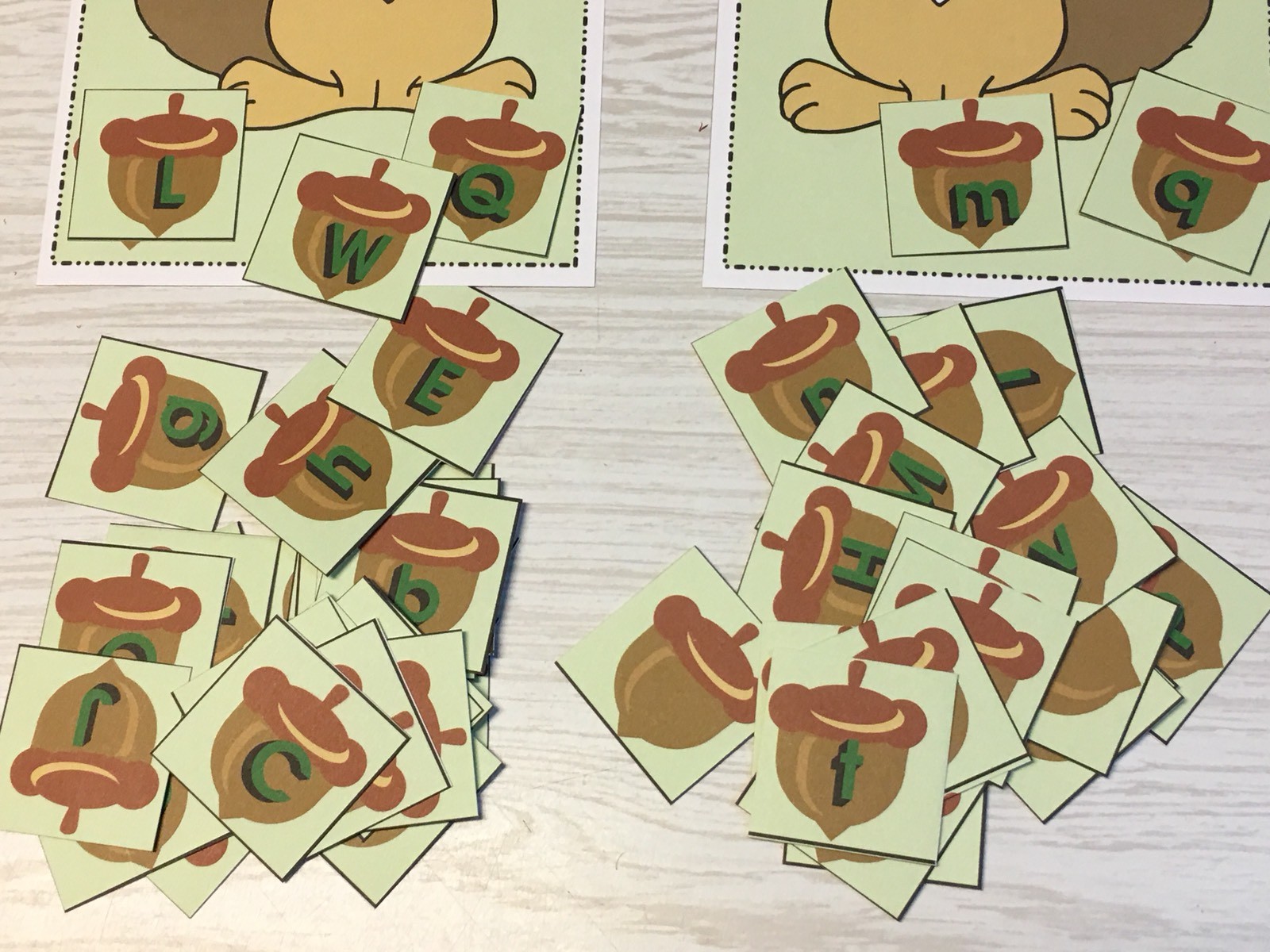 Squirrel’s Acorn Sort – Uppercase Lowercase -Laminated Activity Set