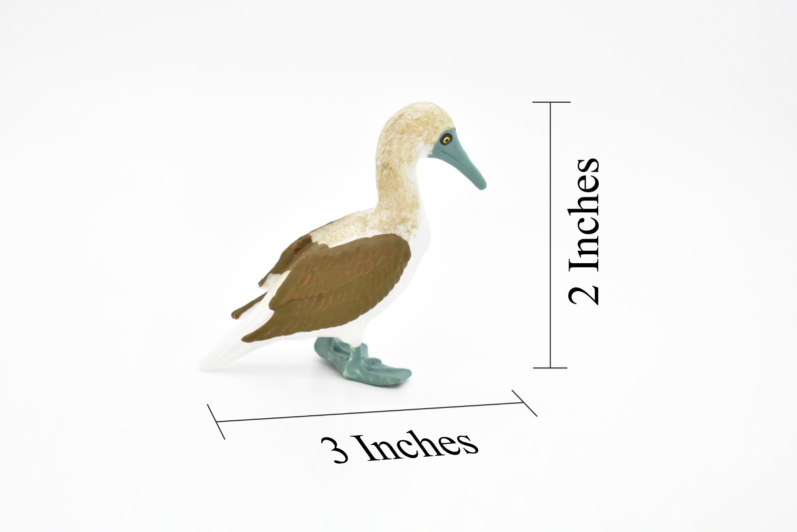 Blue Footed Booby, Bird, Very Realistic Rubber Model, Hand Painted Figurine 3″