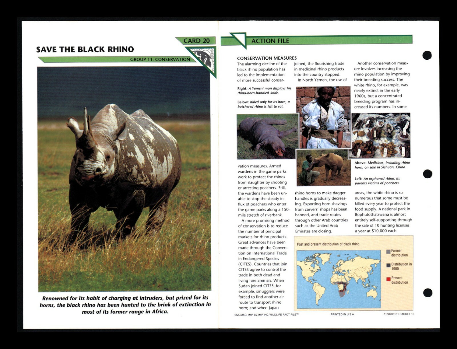 Save the Black Rhino Wildlife Fact File Card Conservation Home School 11.20