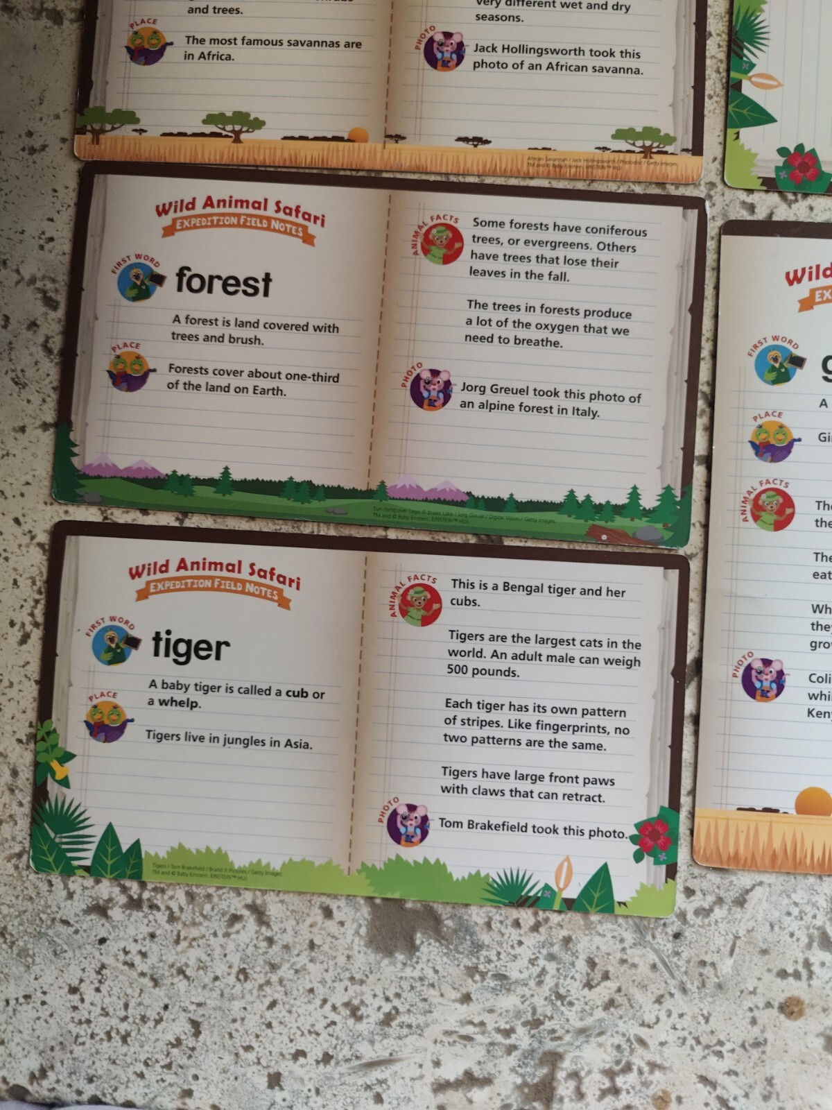 BABY EINSTEIN WILD ANIMAL SAFARI FLASH CARDS 8 CARDS SEE DESCRIPTION