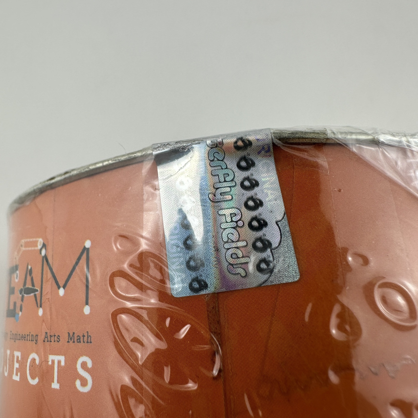 Steam Projects For Kids Creative Smart Play Build Invent How Stuff Works New