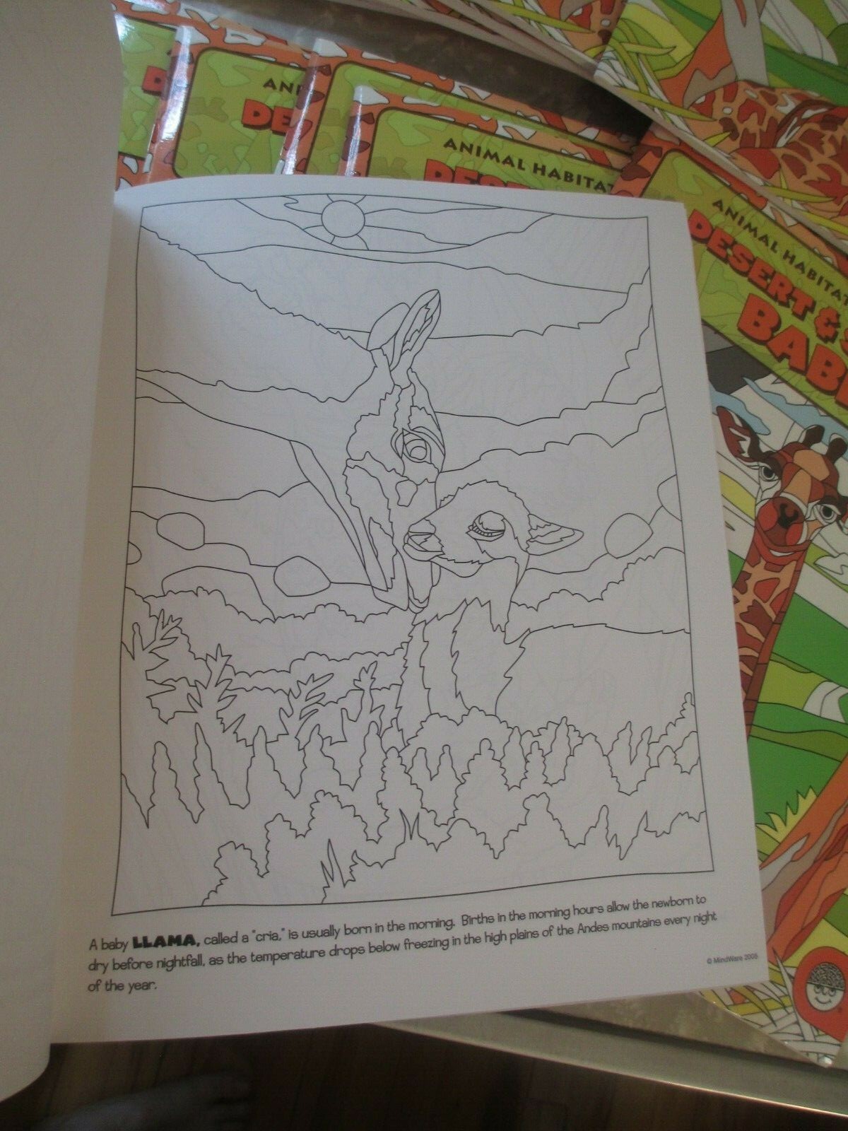 New MINDWARE Brainy Toys lot of (14) Intermediate Coloring Books African Animals