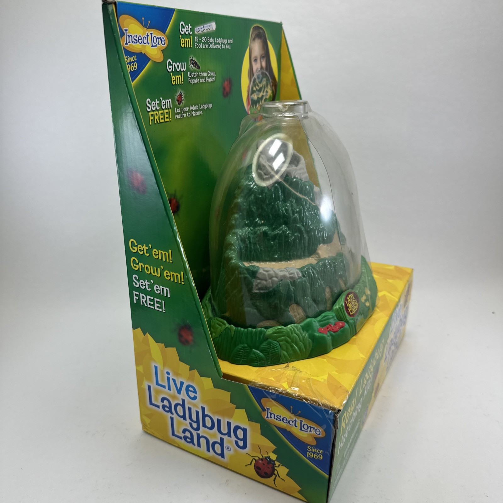 Insect Lore Real Ladybug Hatching Kit Live Ladybug Land 2100 New