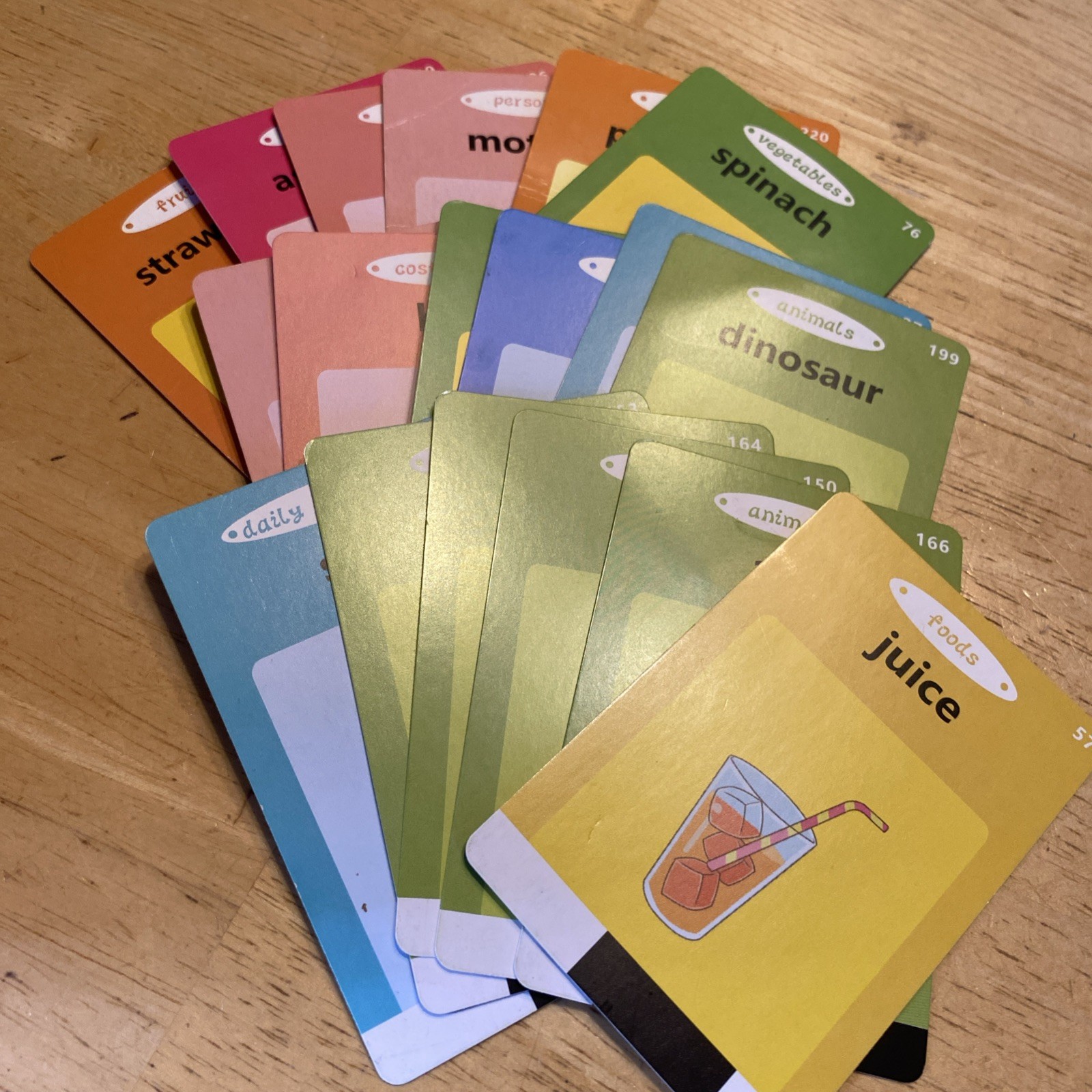 Talking Flash Cards Early Learning Device Builds Vocabulary & Reading 108 Cards