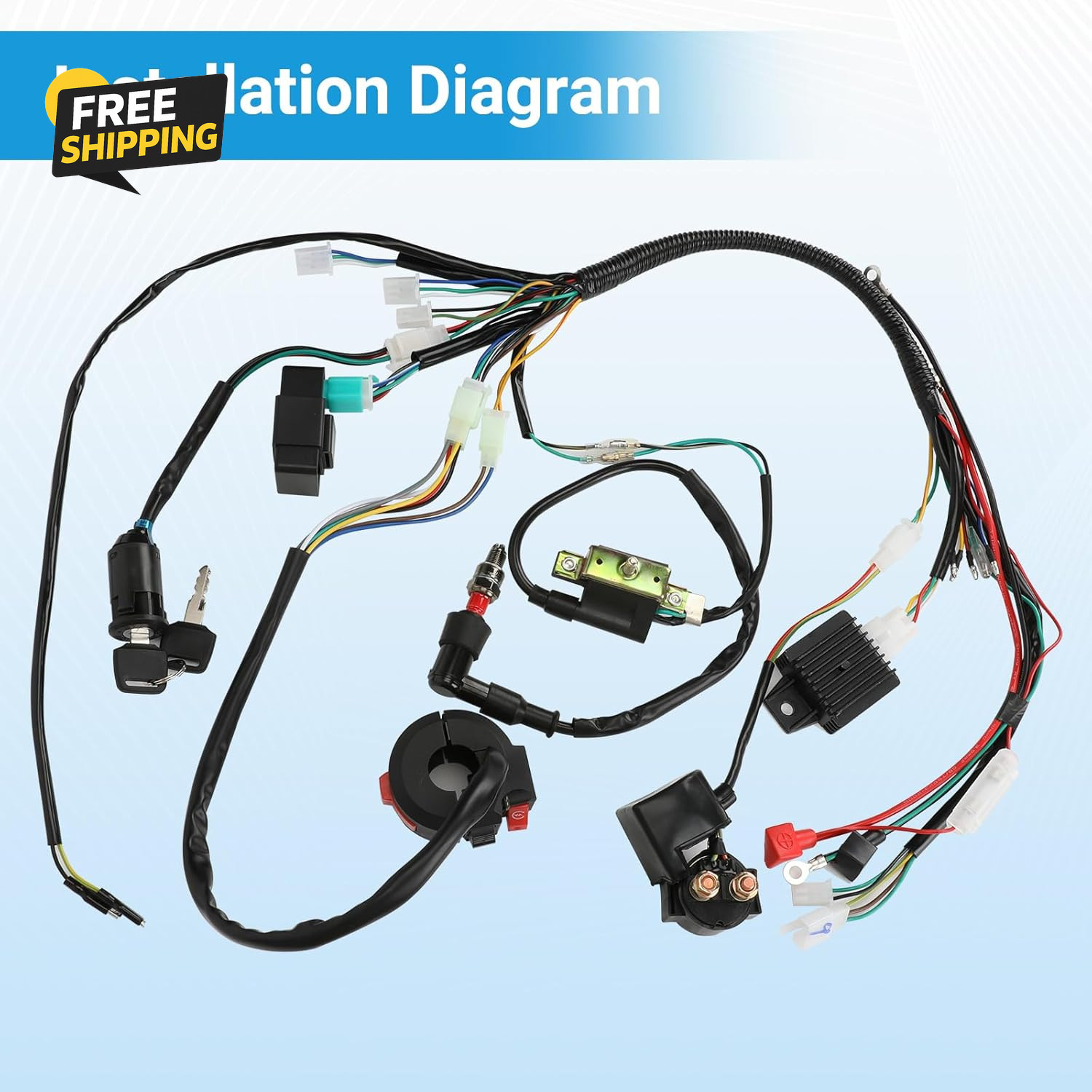 Electric Wiring Harness Kit Compatible with Taotao Coolster 110Cc 125Cc
