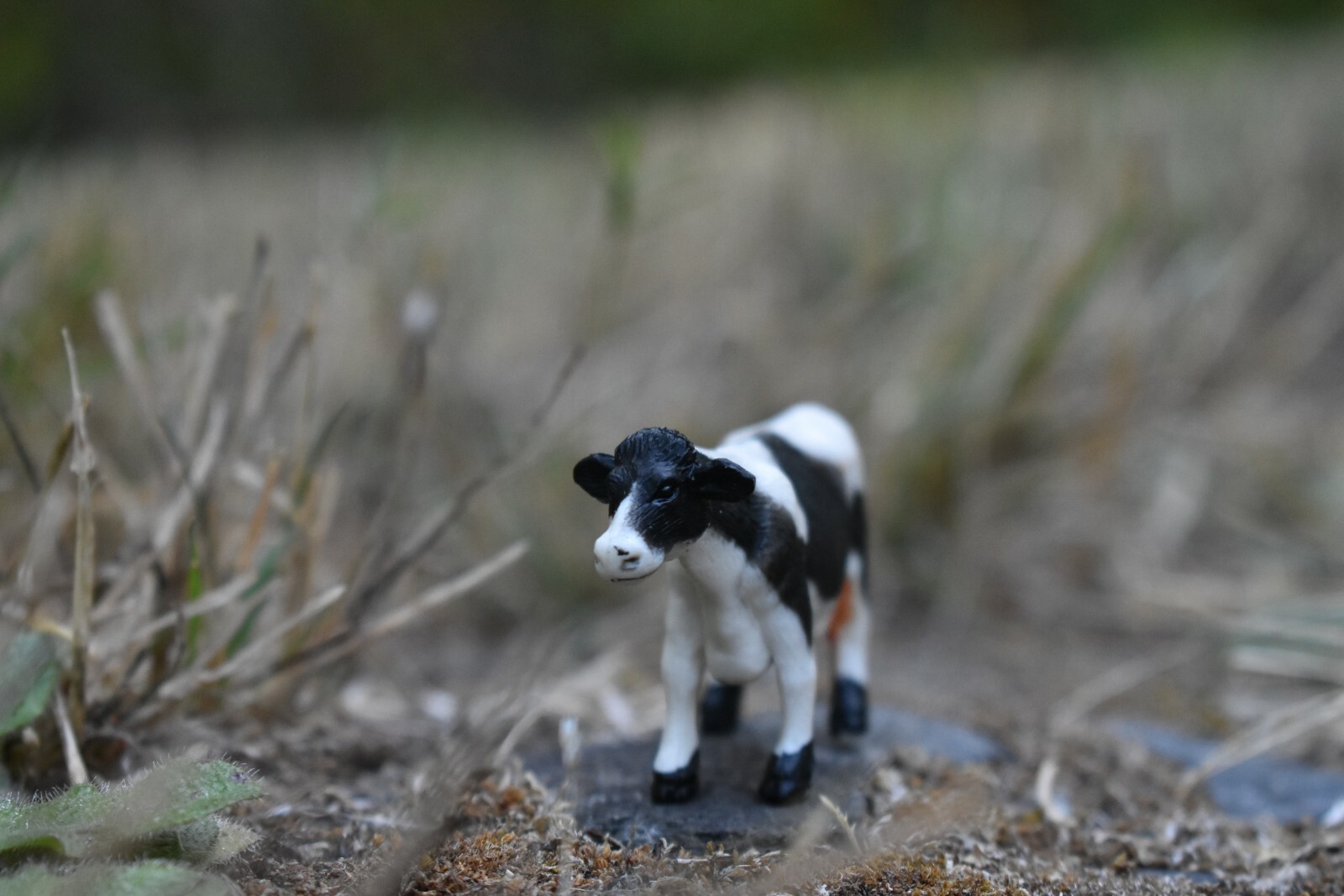 Cow, Holstein Realistic Small Toy Model Plastic Replica Farm Animal, 2.25″ F4261