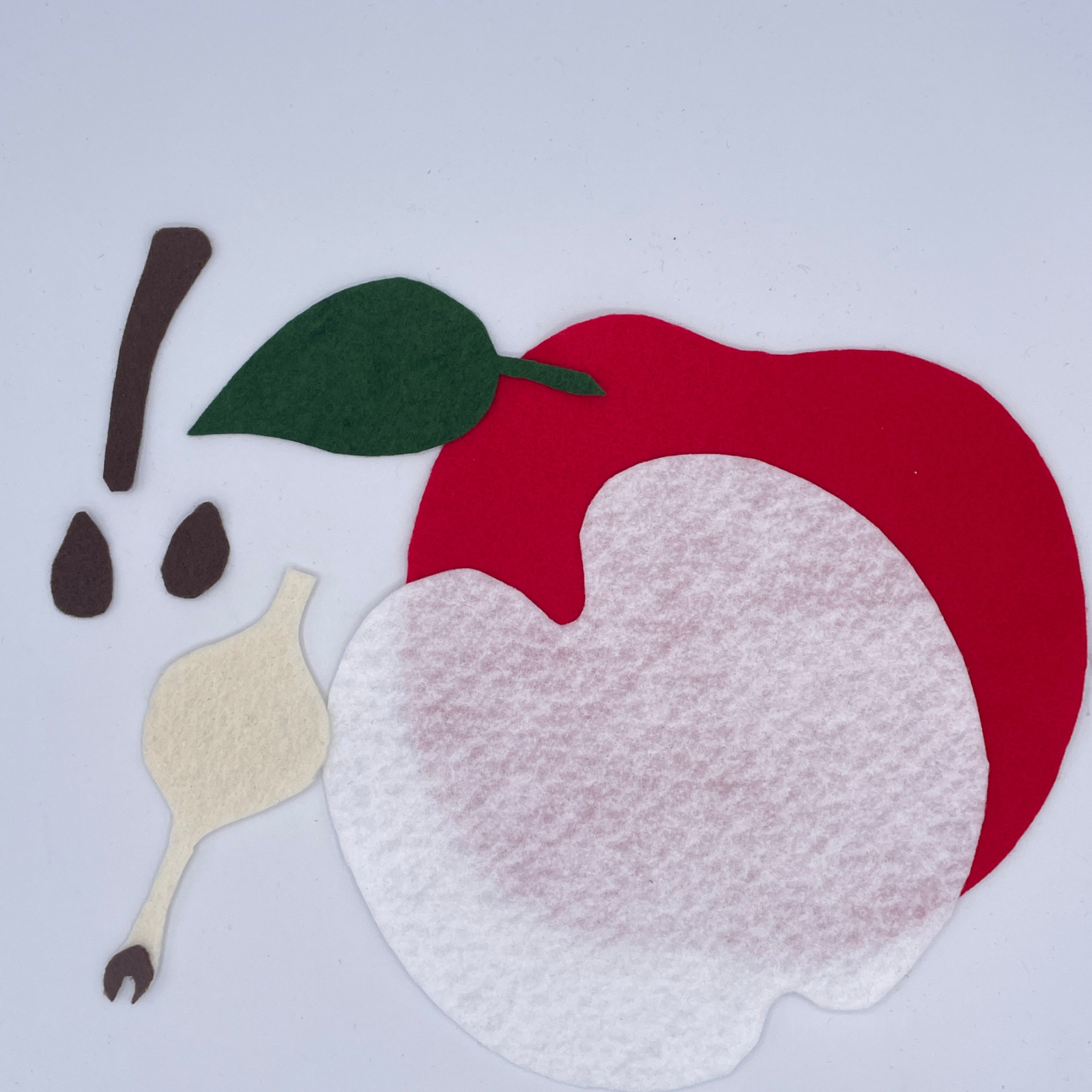 Parts of an Apple Science Felt Story Set for Felt/Flannel Board with Worksheet