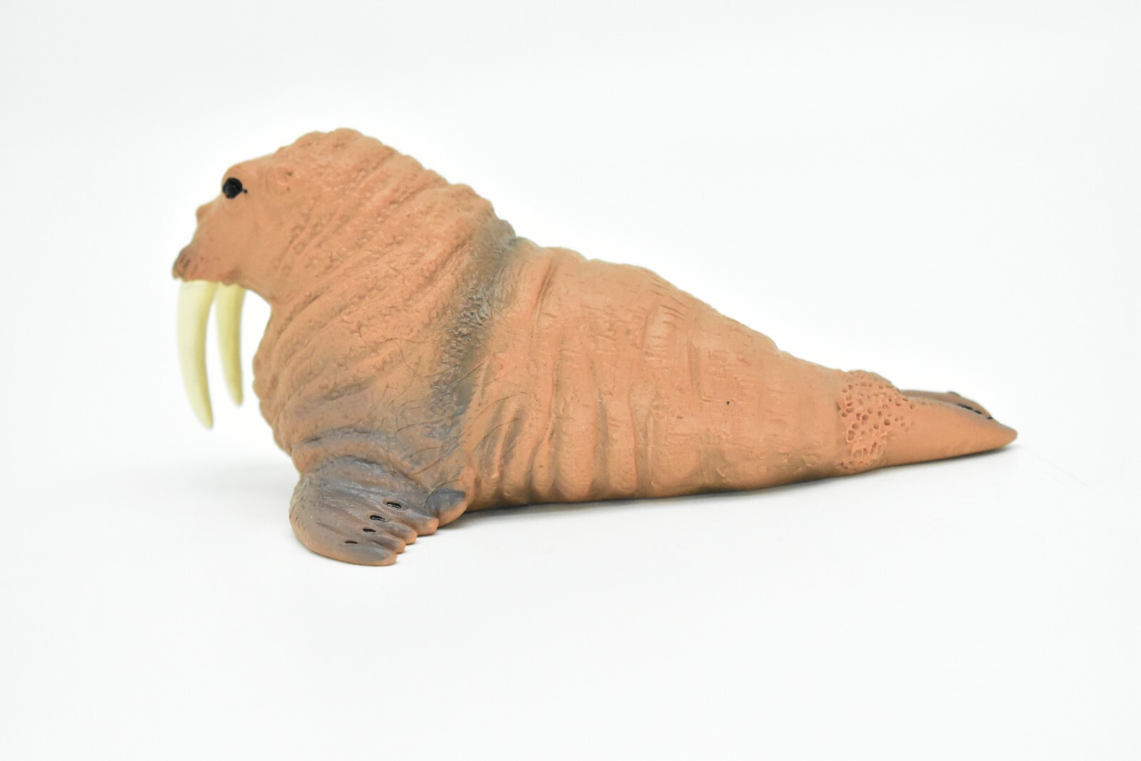 Walrus, Realistic Toy Hard Resin Model Replica, Kids Educational Gift 5″ OK05
