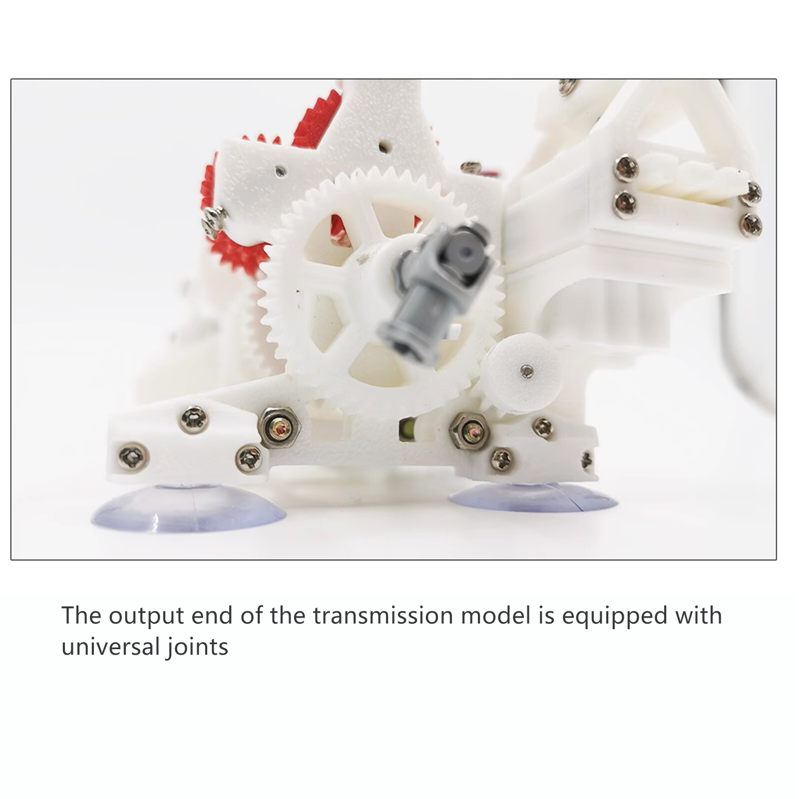 Finished 3D Printing 5MT Transmission Model Gearbox Model 5 Forward Gear+Clutch