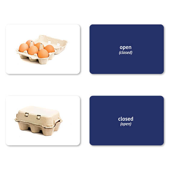 Opposites Flash Cards | 40 Language Development Educational Photo Cards |