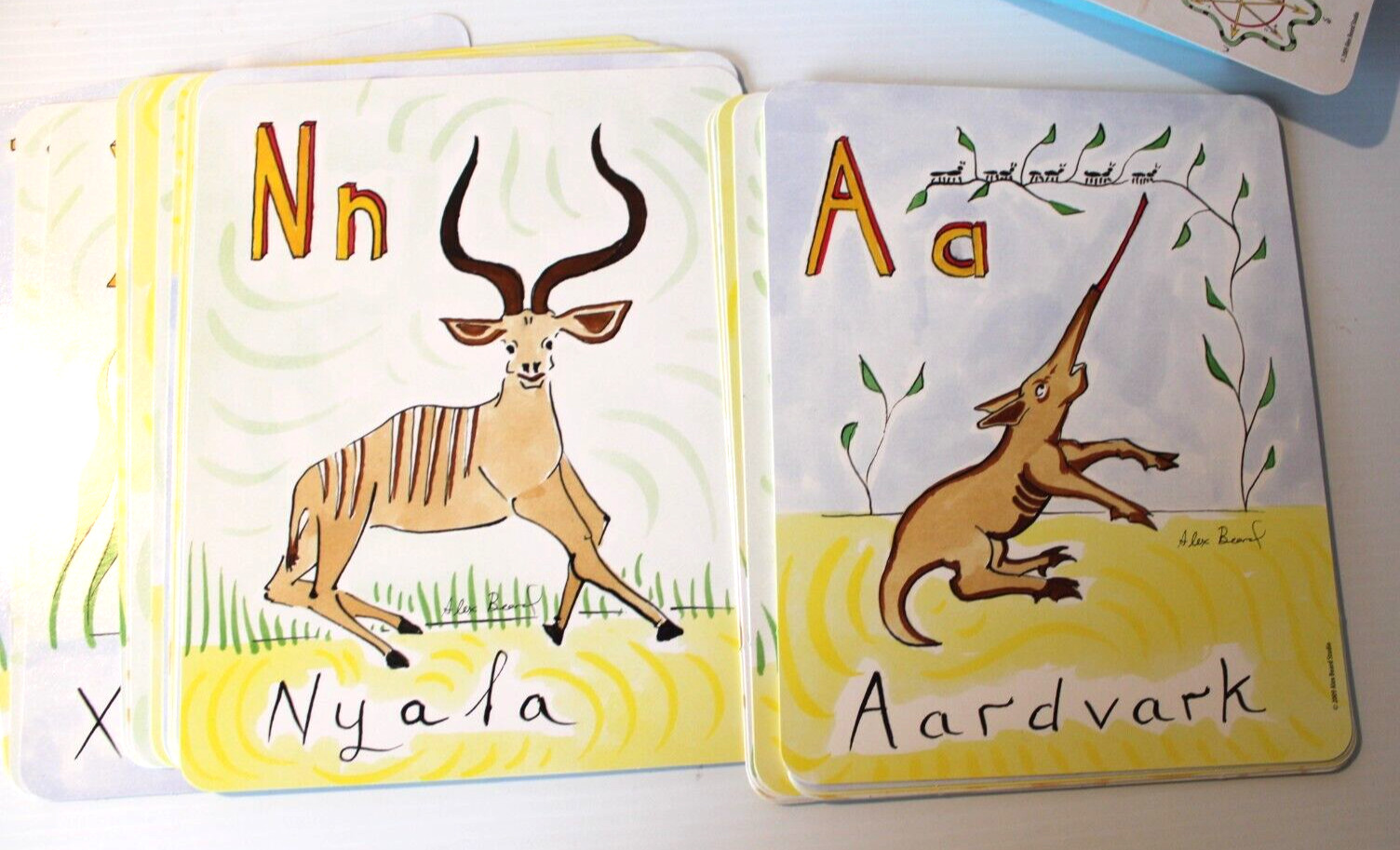 8×10 Alphabet Flash Cards Based On The Jungle Grapevine Alex Beard Animal Large