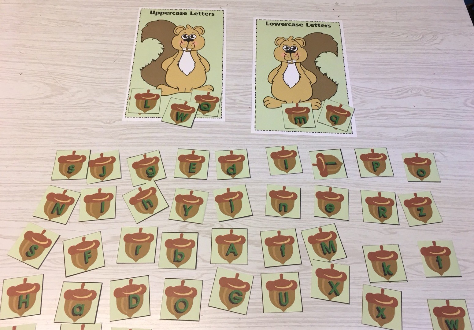 Squirrel’s Acorn Sort – Uppercase Lowercase -Laminated Activity Set
