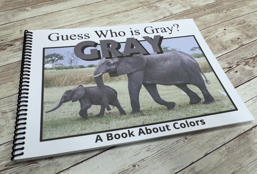 Gray | Guess Who Is Gray? | LEARNING COLORS | Spiral Bound Picture Book