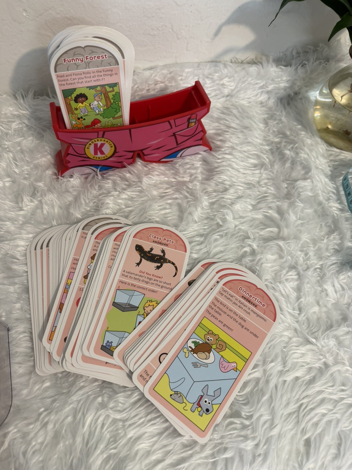 Smarty Pants – Kindergarten Card Set 115 Brain Building Cards questions answers
