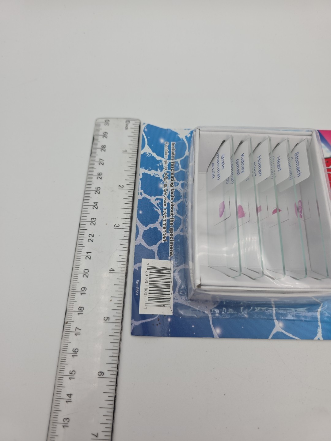 My First Lab Prepared Microscope Slides Blood And Guts PS51 Homeschool Science