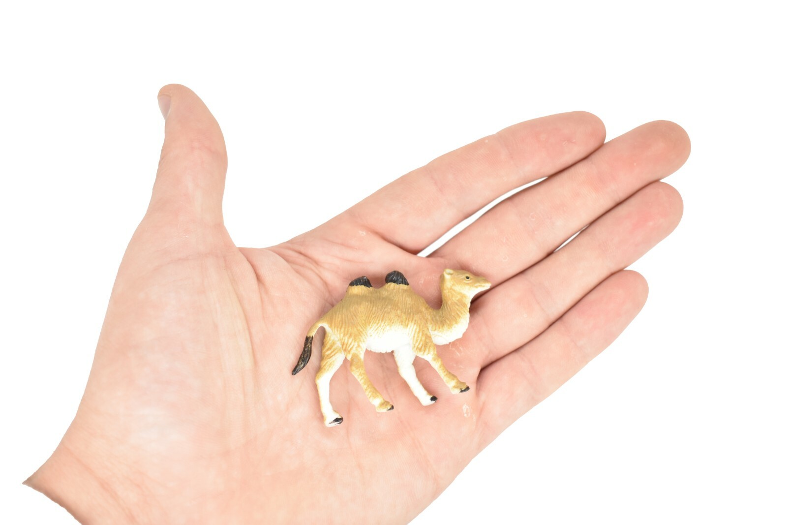 Camel, Bactrian, Plastic Animal, Realistic Toy Model 2.75″ F7048