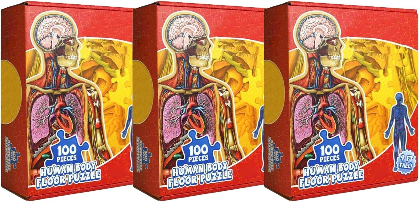 Human Anatomy Kids Floor Puzzle – Dr Livingston Jr’s 100-Piece Full Body Jigsaw
