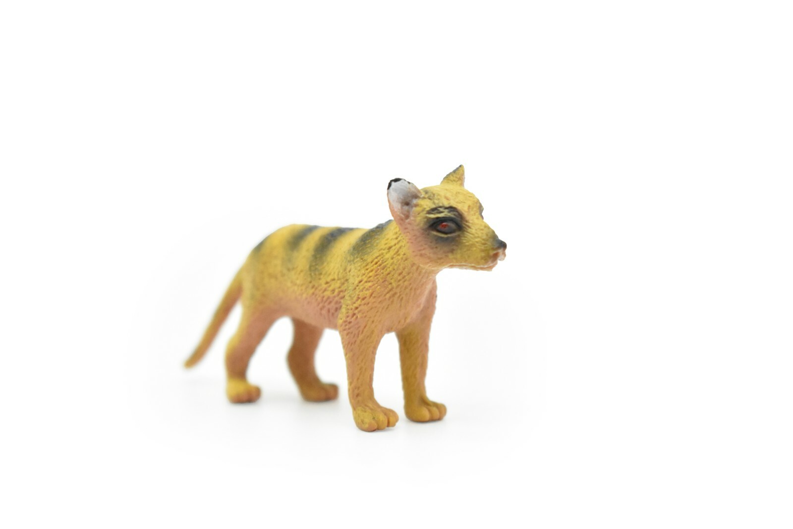 Tasmanian Tiger, Thylacine, Very Nice Plastic Animal Toy, 3″ CWG128 B238