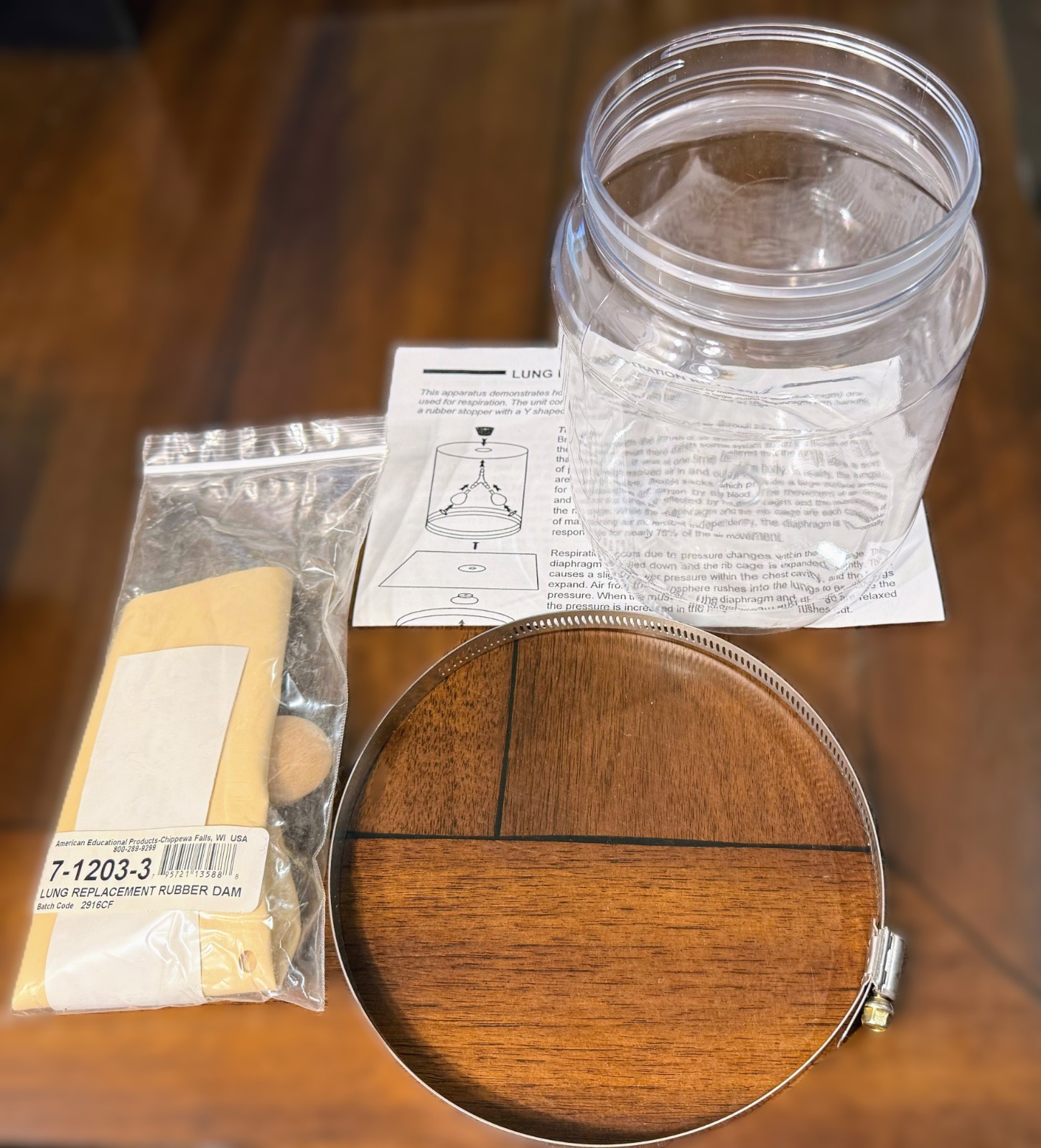 American Educational Lung Demonstration Science Health Experiment Kit Grade 3-9