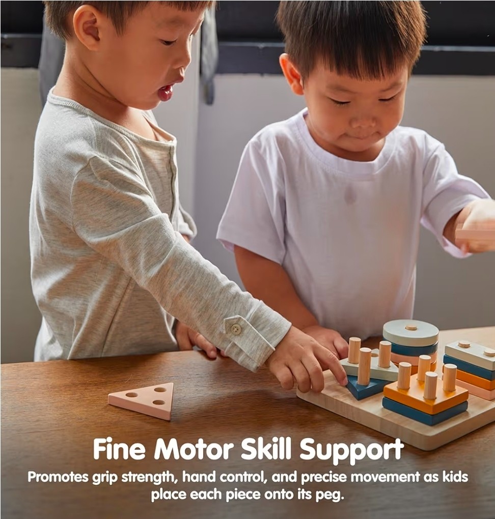 NEW PlanToys® Geometric Sorting Board Montessori Shape, Size, Color Learning Toy