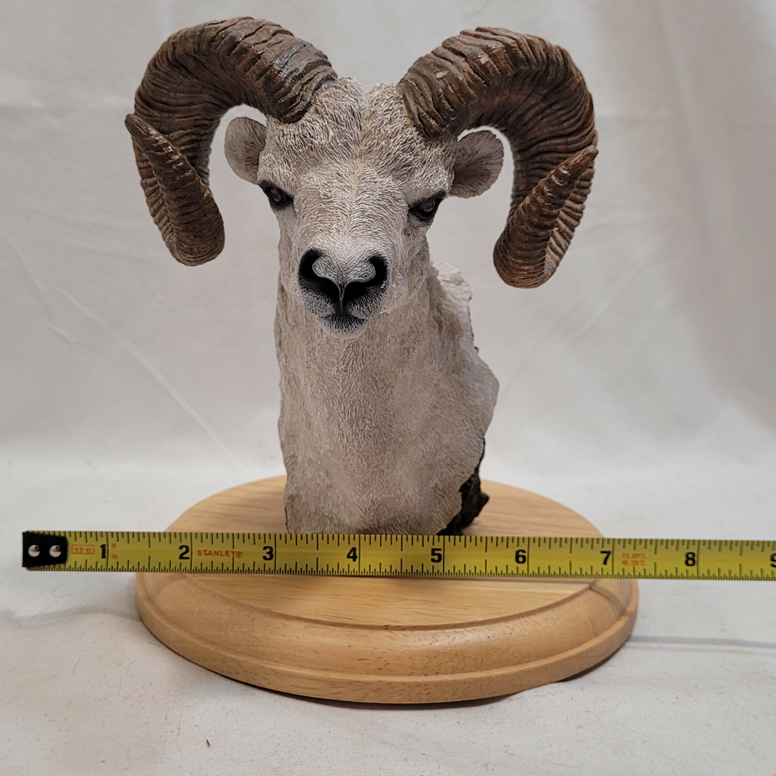 Simpkins Animal Dall Sheep / Ram Bust # 51476RB Wood Base 7″ Tall