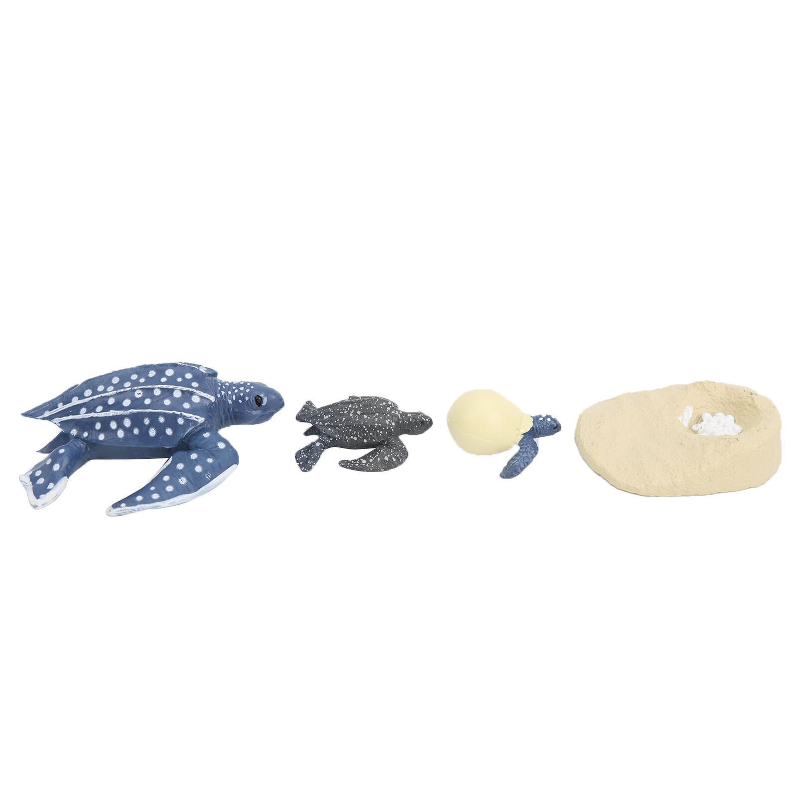 The Simulation Animal Model Sea Life Animals Life Cycle Cognitive Model