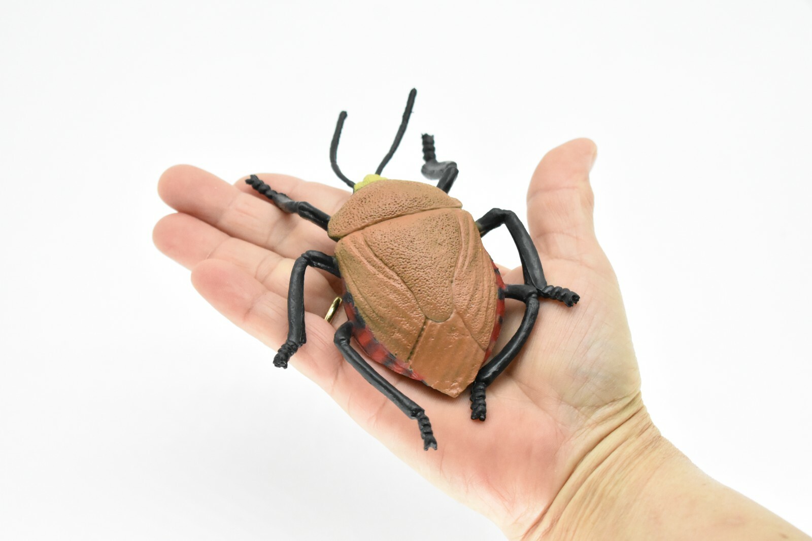 Beetle, Japanese, Brown, Very Nice Rubber Replica 5″ – F2066 B133