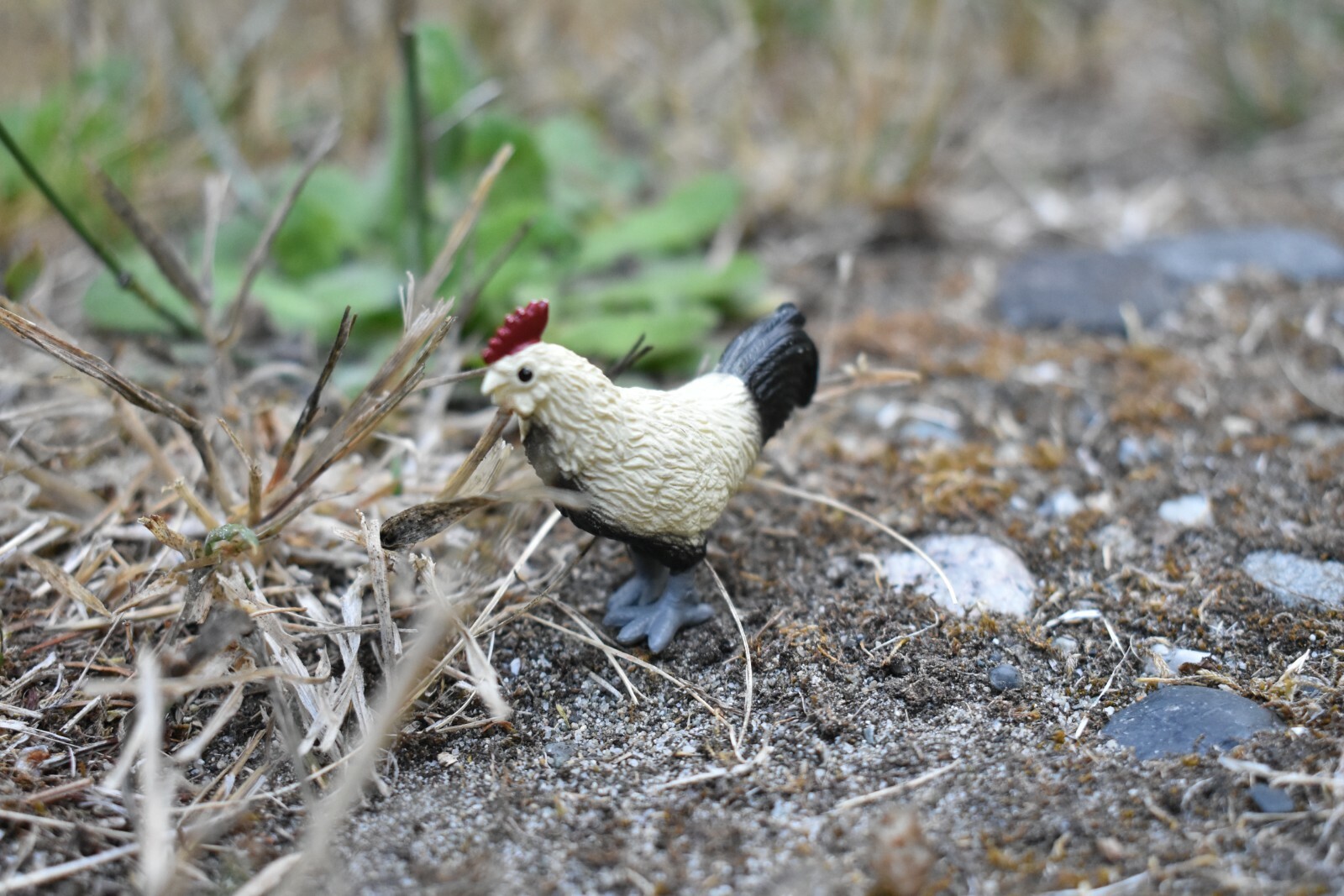 Chicken, Rooster Realistic Toy Model Plastic Barn Farm Animal, 2 1/8″ F4255