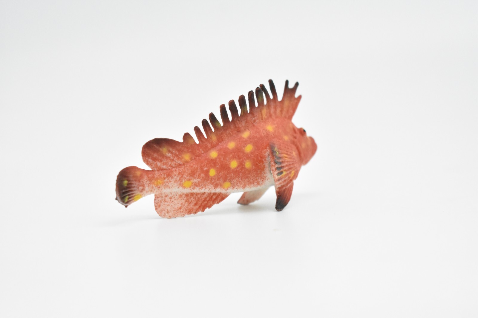 Spotted Kelpfish, Tropical Fish, Ocean, Plastic, Realistic Figure, CWG271B46