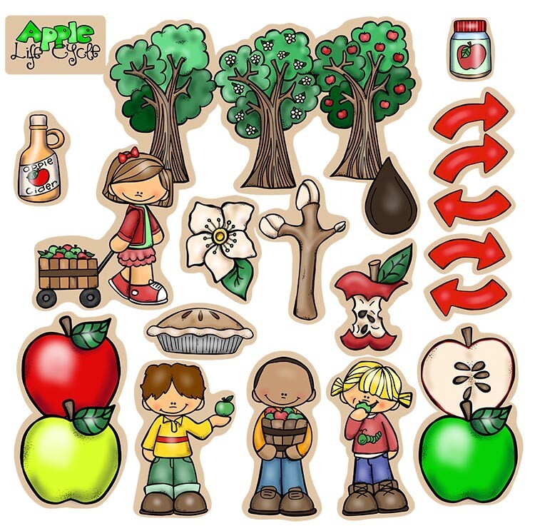 Apple Life Cycle Felt Figures For Flannel Board Stories Preschool Education