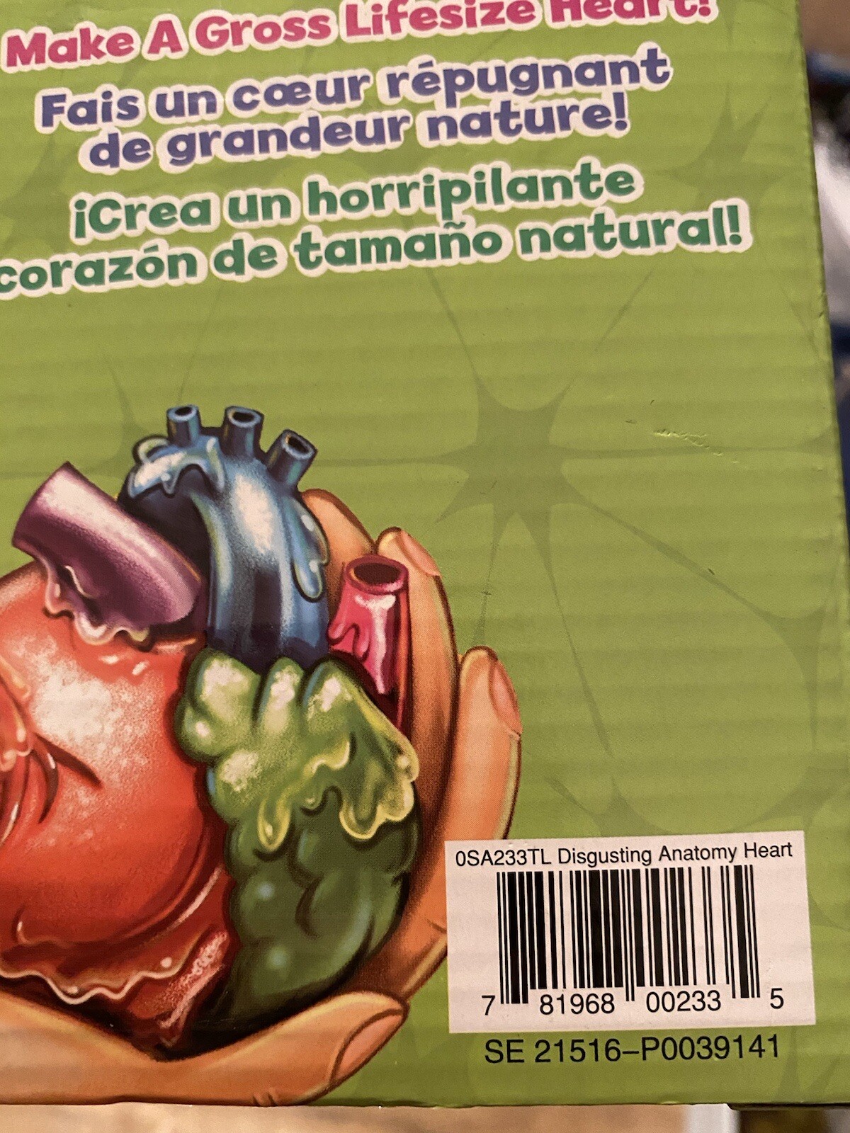 Scientific Explorer Disgusting Anatomy Heart and Eye mold Brand New In Box Kit