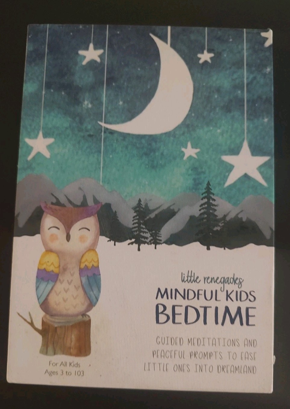 Little Renegades Mindful Kids BEDTIME – Guided Meditations & Peaceful Prompts