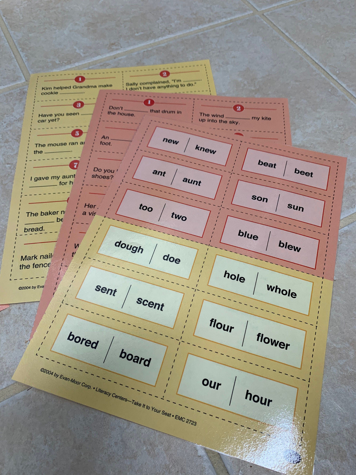 Teacher Made Literacy Center, Classroom Center-Homophones SC4