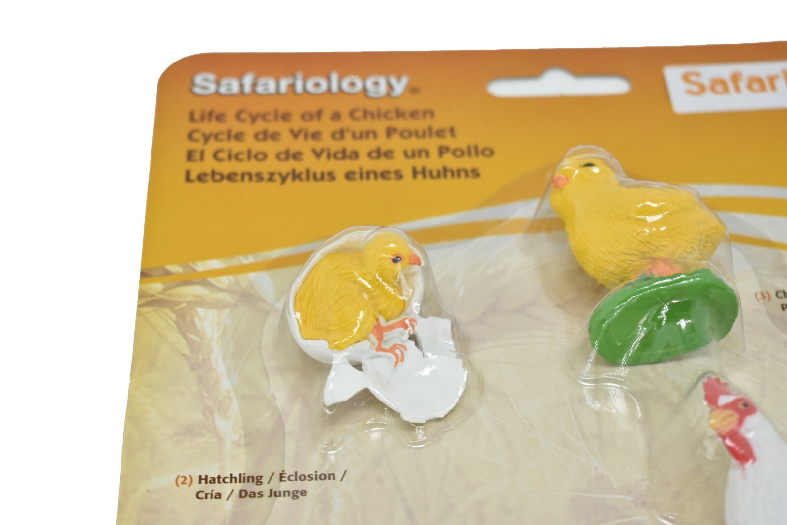Chicken, Life Cycle, Realistic Toy Plastic Replica model set, Kids Gift F3684