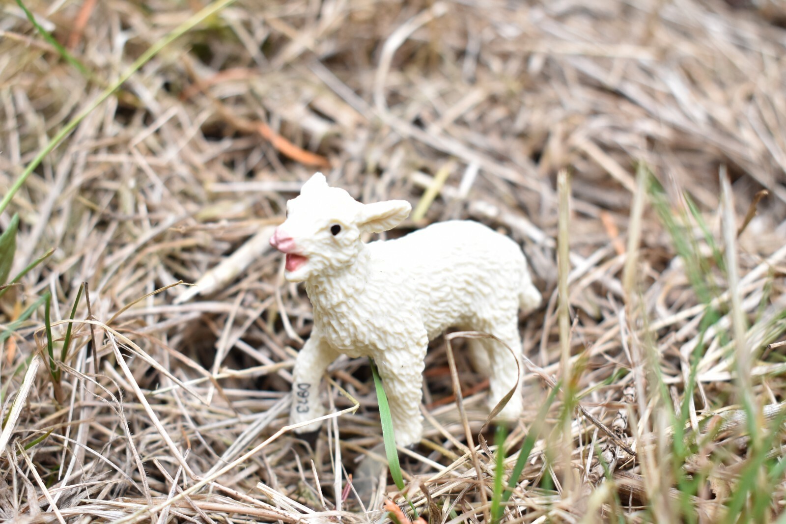 Sheep, Lamb Realistic Toy Model Plastic Replica Barn Farm Animal, 2.25″ F1313