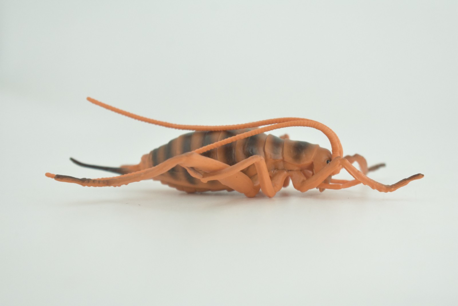 Cricket Toy, Hand Painted, Hard Rubber, High Quality, Realistic Bug, Gift CH1025