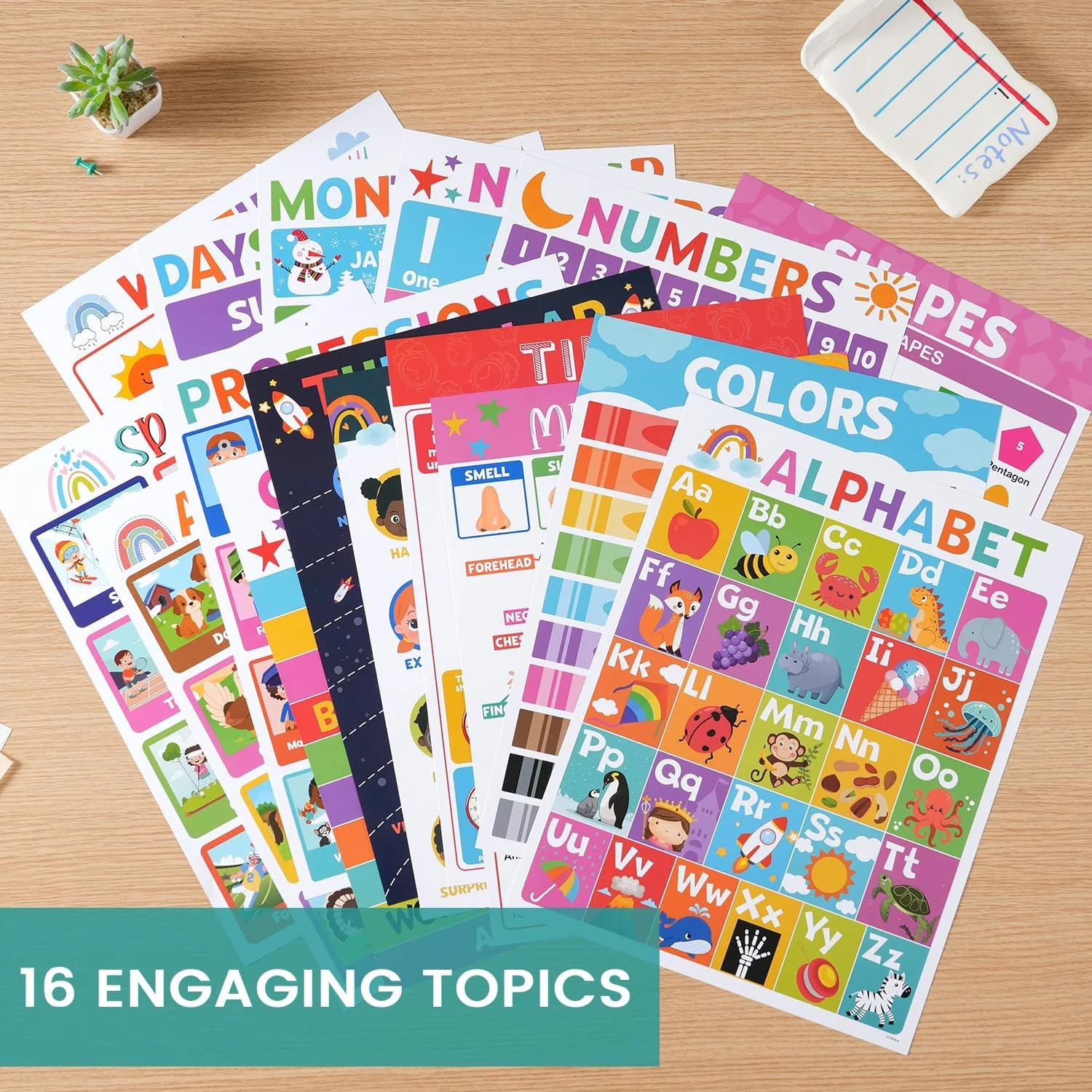 16PCS Classroom Educational Posters – Laminated Educational Posters For Toddlers