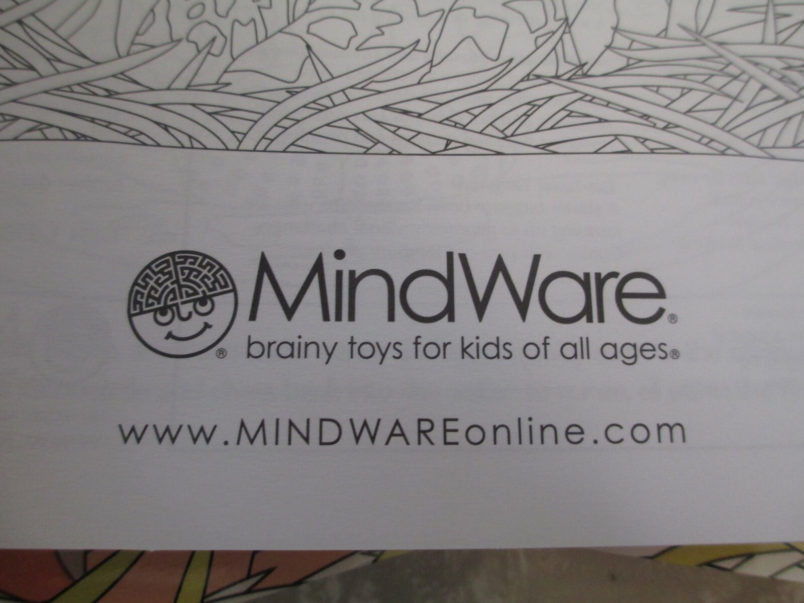 New MINDWARE Brainy Toys lot of (14) Intermediate Coloring Books African Animals