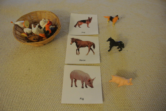 Montessori Common Farm Animals 3 Part Cards with Miniatures