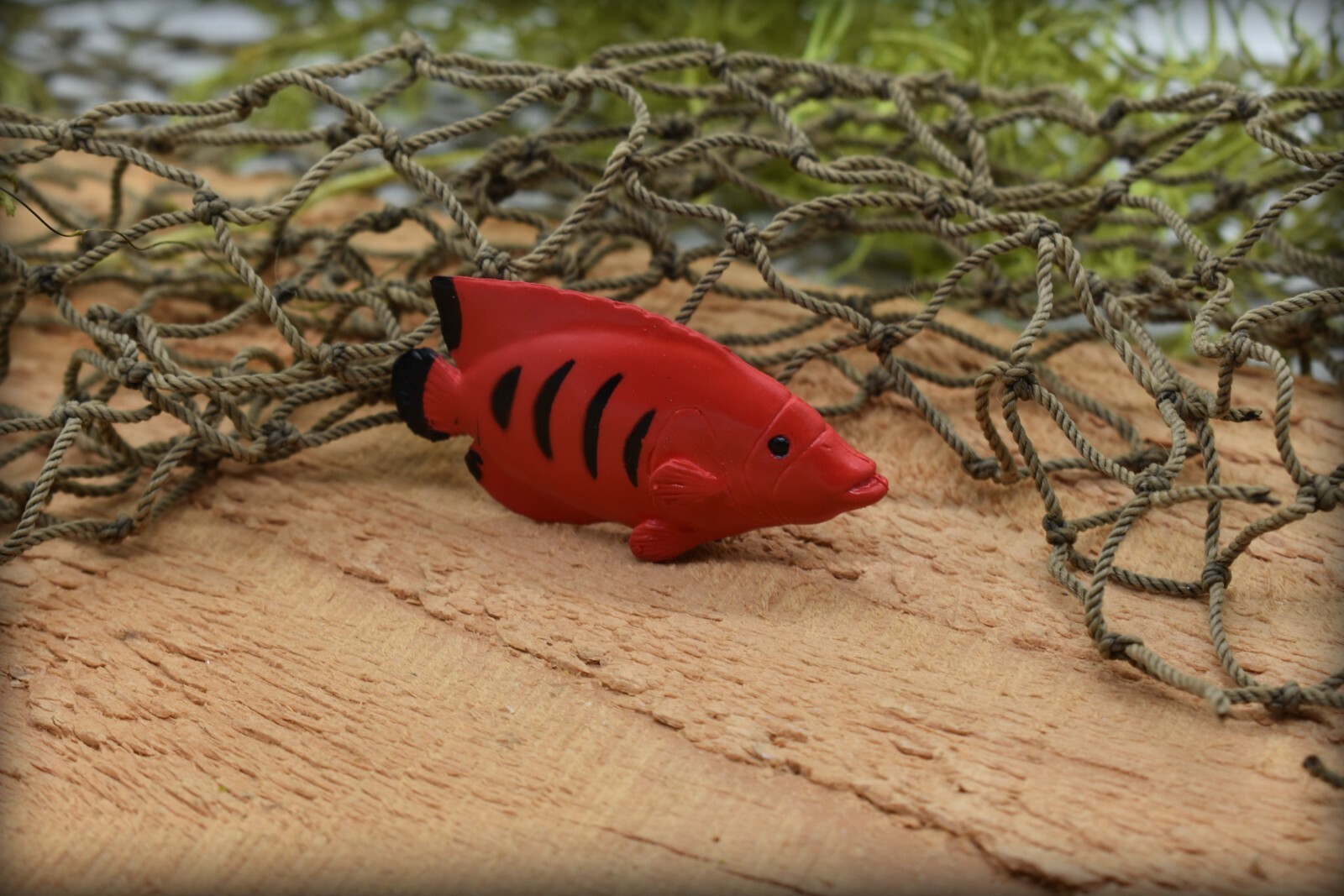 Toy Angelfish, Flame Angel Fish, Tropical, Red Rubber Fish, Realistic, F1786B145