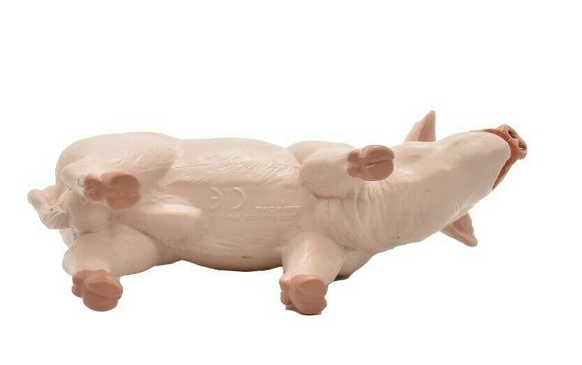 PIG / Boar Domestic Plastic Replica 4 1/2 -inch replica – F2024 B143