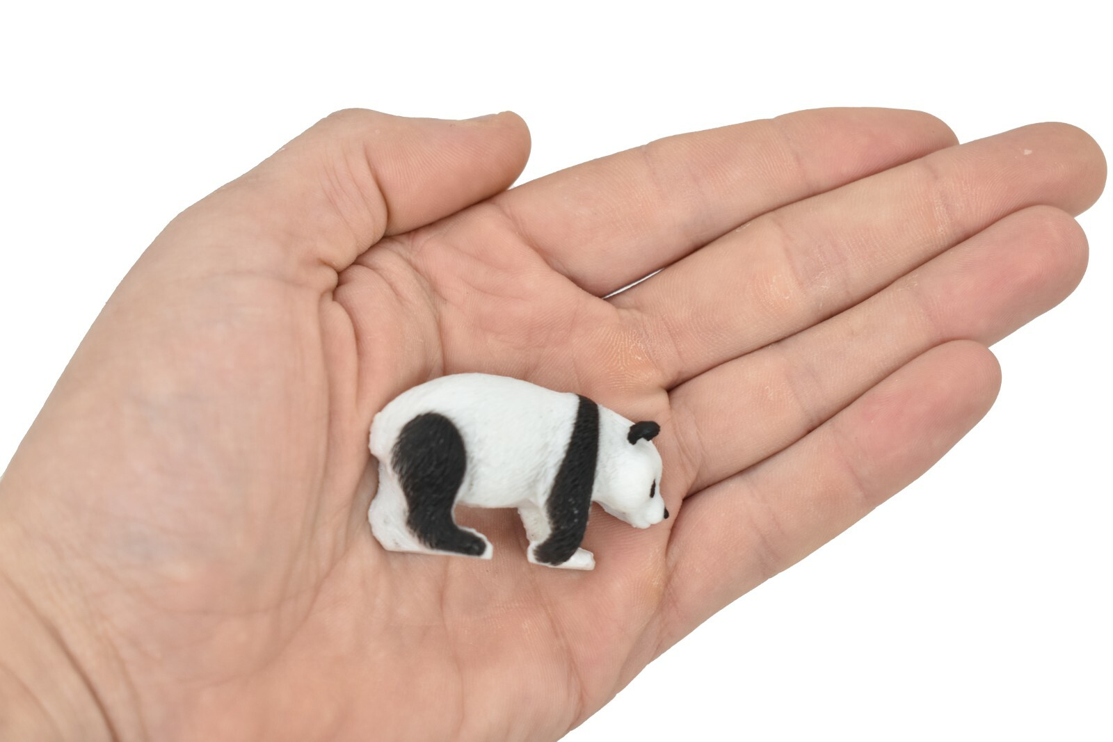Panda Bear Plastic Toy Animal Gift Realistic Figure Educational Model F4440B55