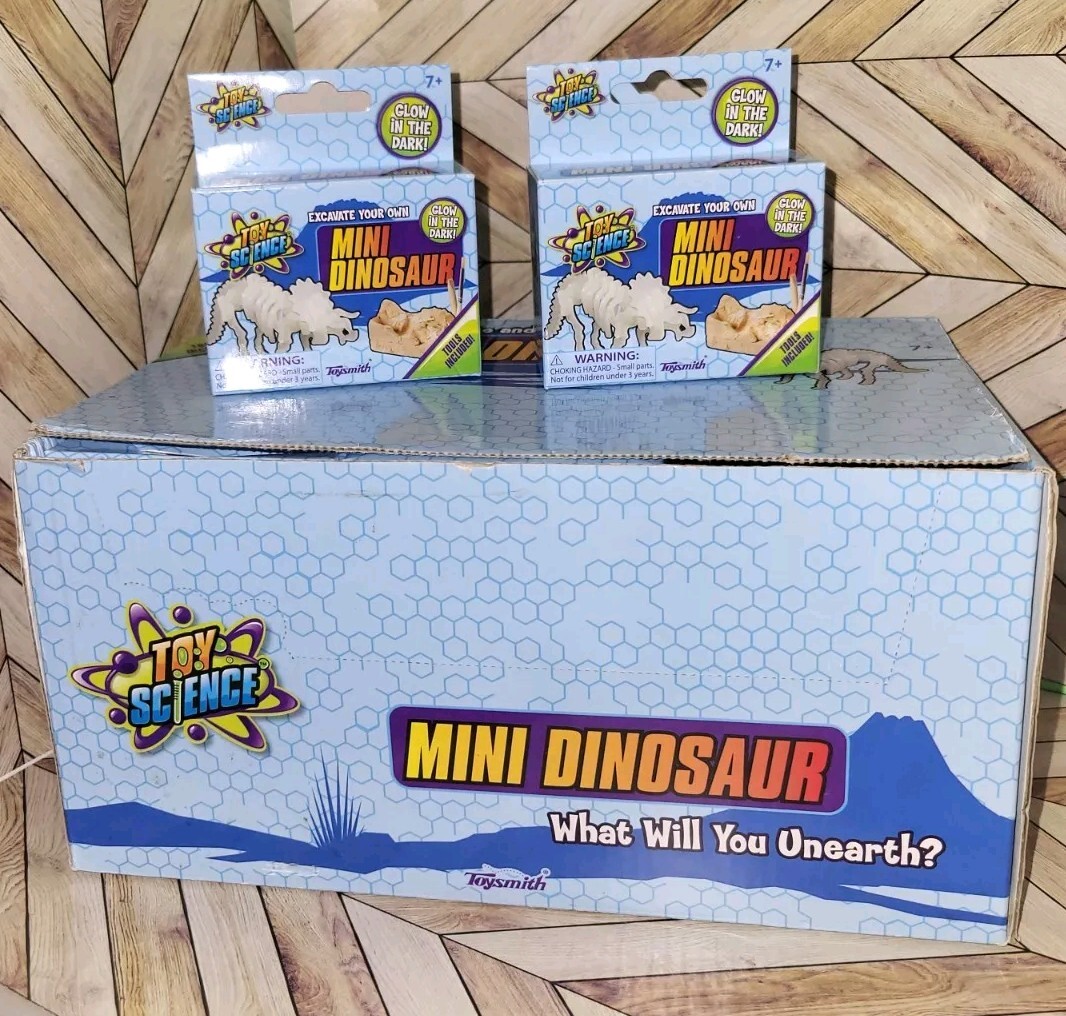 (Qty. 22) Toysmith Mini Dinosaur 🦕 Excavation Kit Party Favor Prize Present 🎁