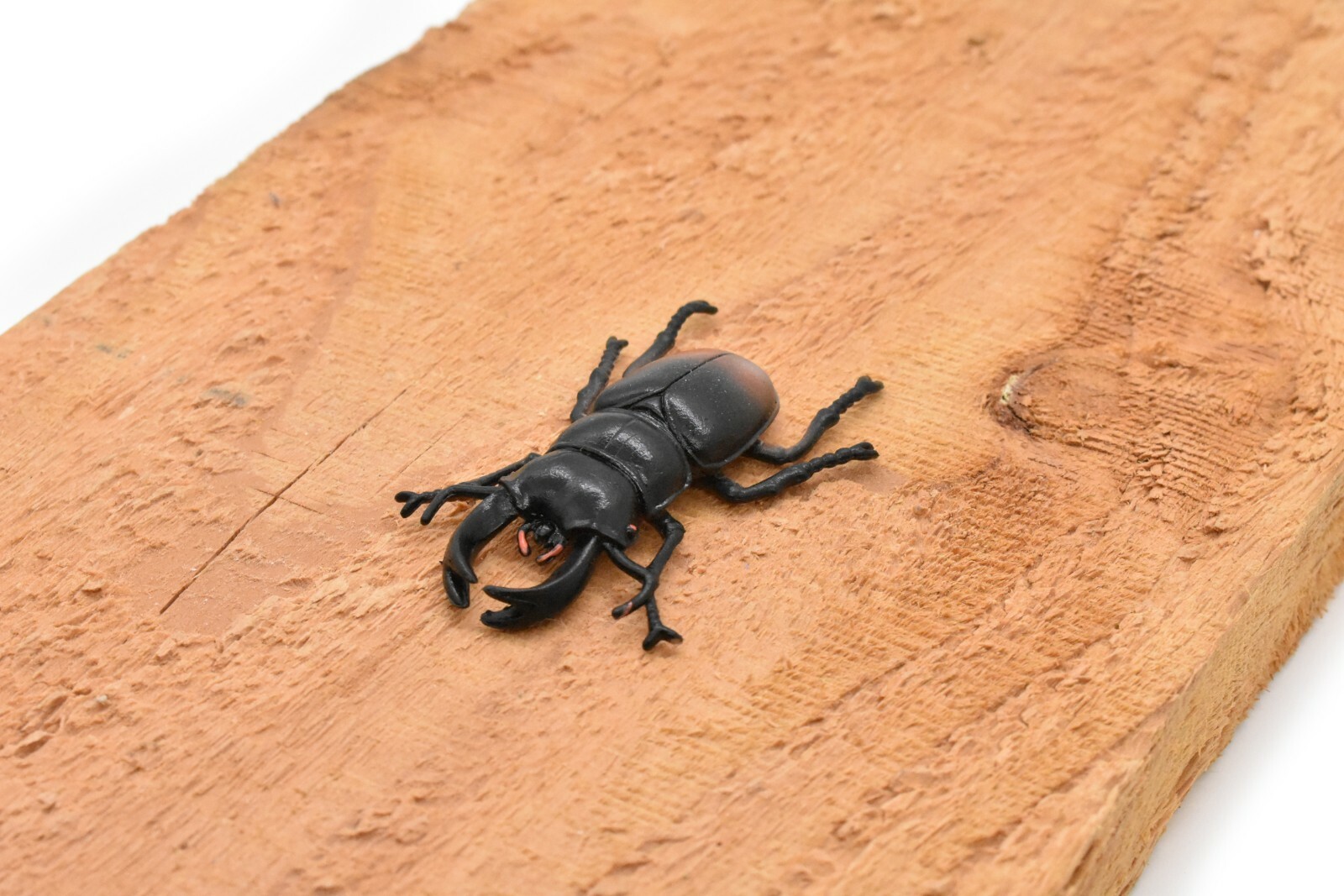 Stag Beetle, Very Nice Rubber Reproduction 2 1/2″ CWG06 B13