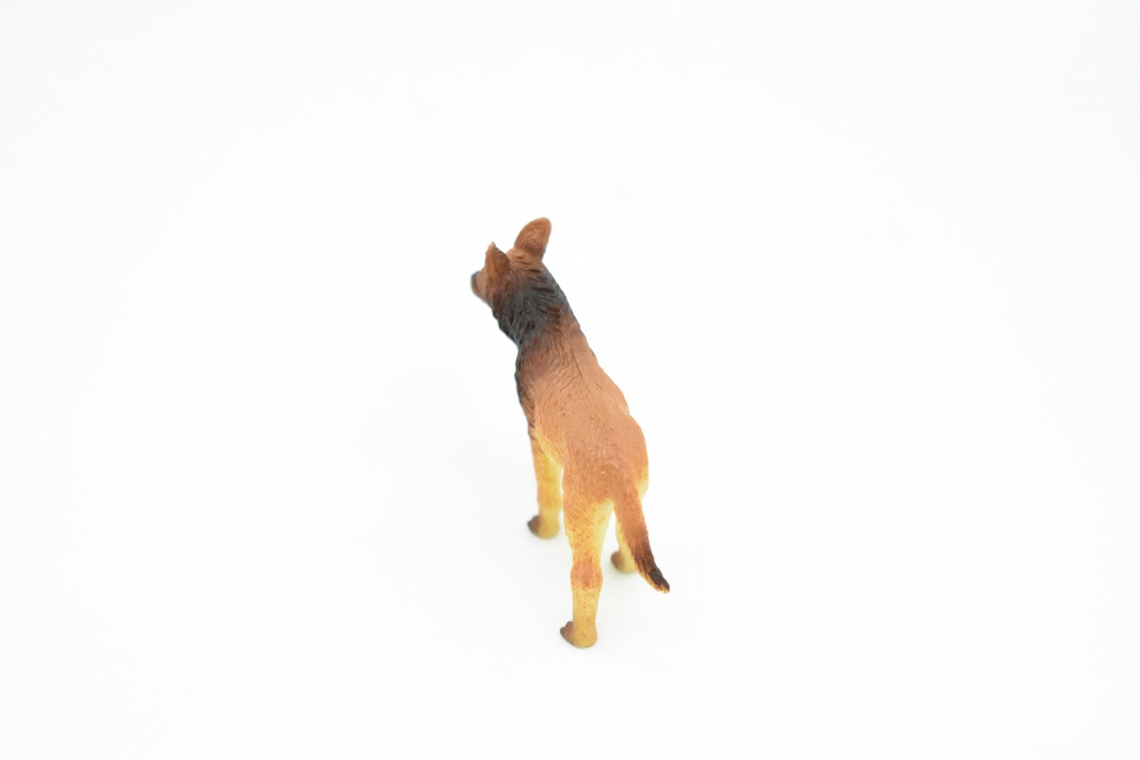 Dingo, Wild Dog Toy Very Nice Plastic Animal, 2 1/2 ” CWG134 B238