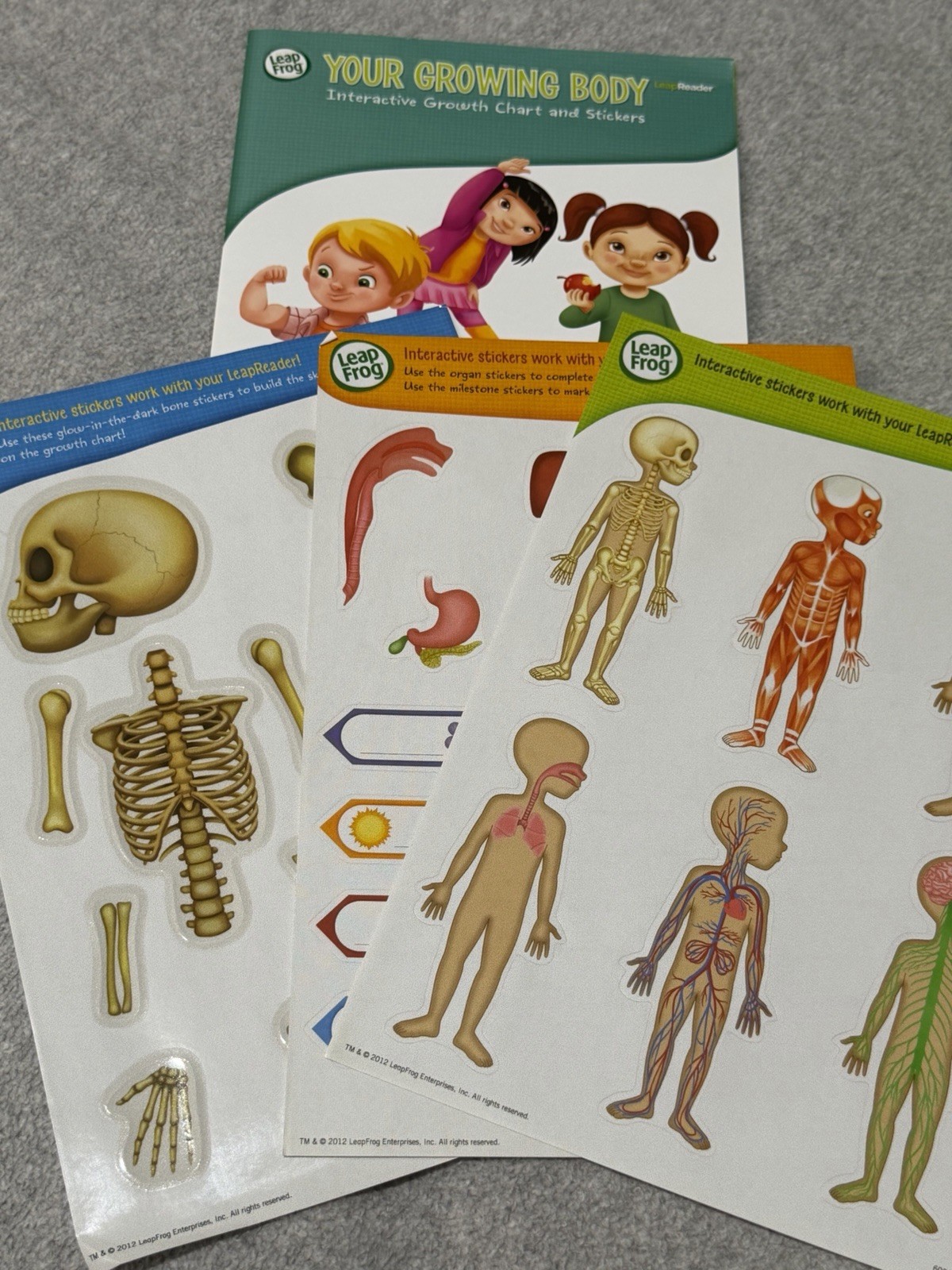 Leapfrog Tag Software Interactive Human Body Discovery Pack 2013