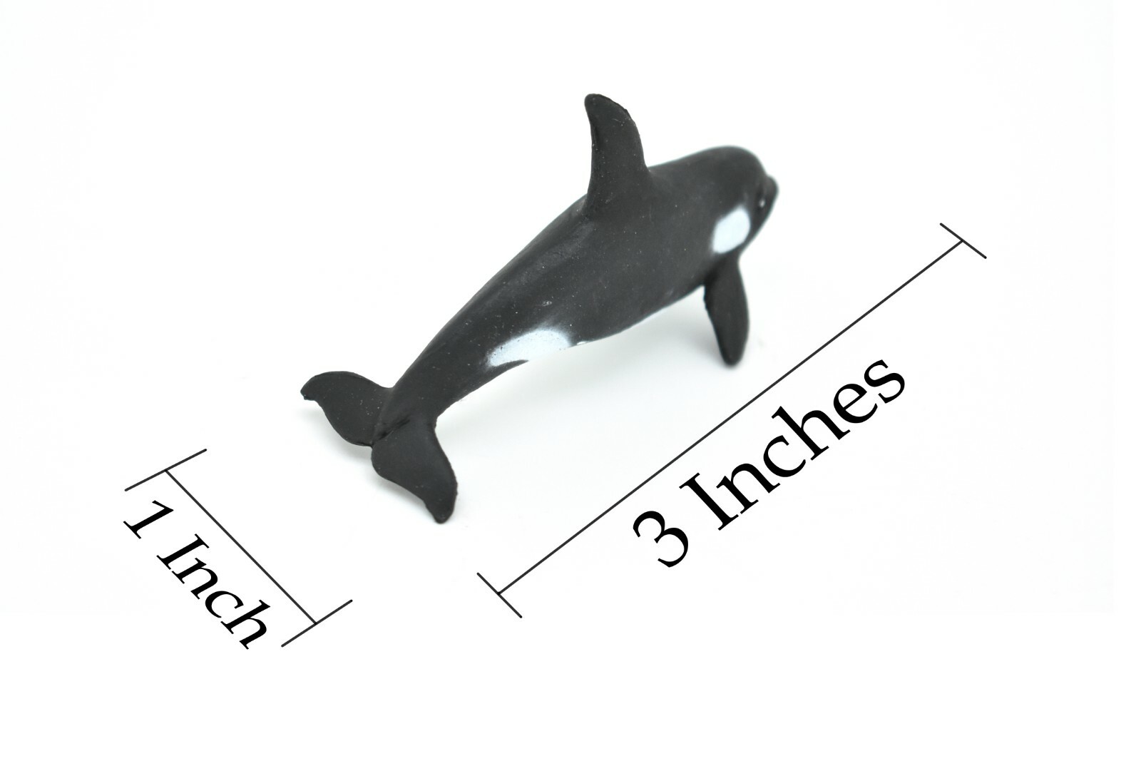Killer Whale Plastic Replica 3Long ~ F3907-B9