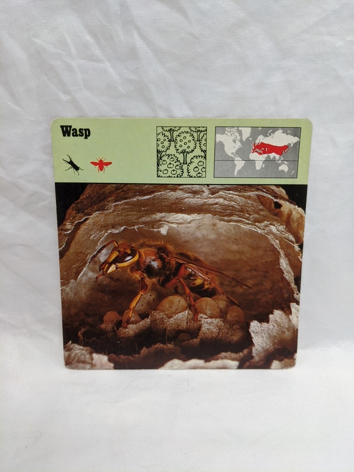 Lot Of (21) 1975 Rencontre Arthropods IV Education Cards